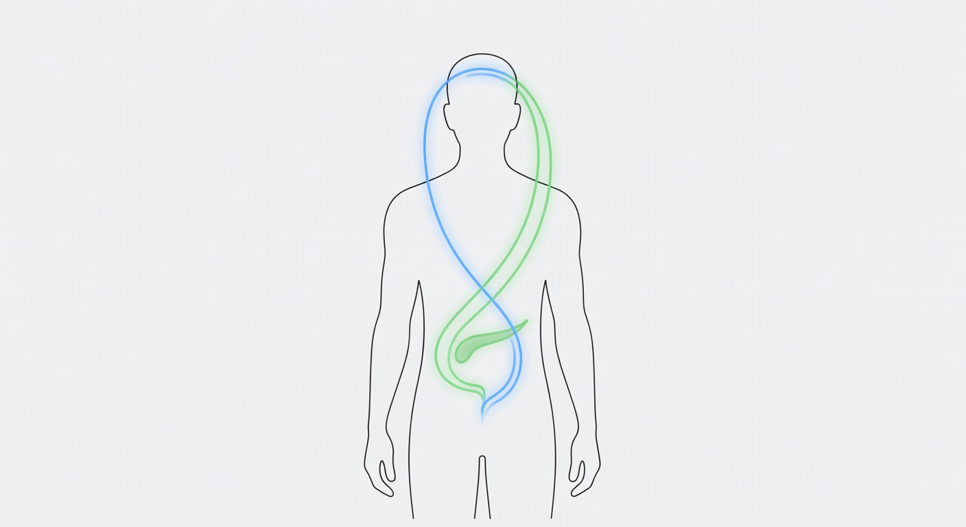How tirzepatide works